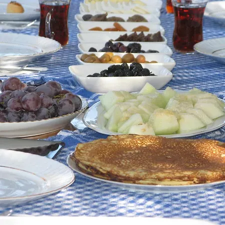 컨트리하우스 Ogzala Ciftlik Evi Kazandere