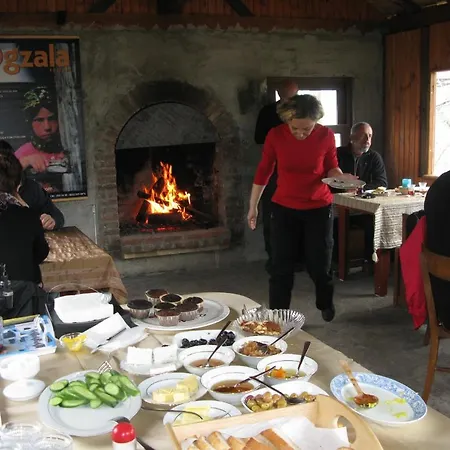 Ogzala Ciftlik Evi 컨트리하우스 Kazandere