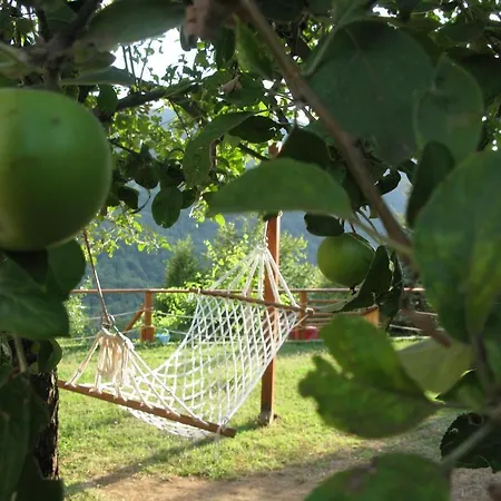Ogzala Ciftlik Evi Kazandere